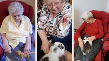 Sussex care home welcomes pets for the afternoon